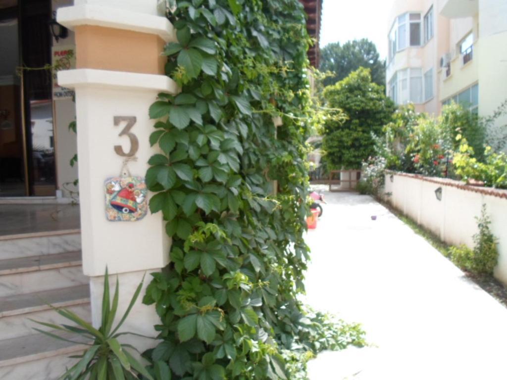 Hotel Hani Armutalan Exterior photo